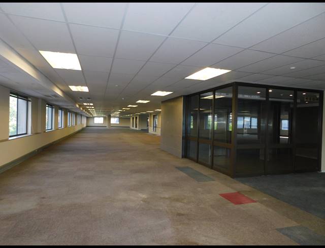 1,558M² OFFICE TO LET IN PARKTOWN